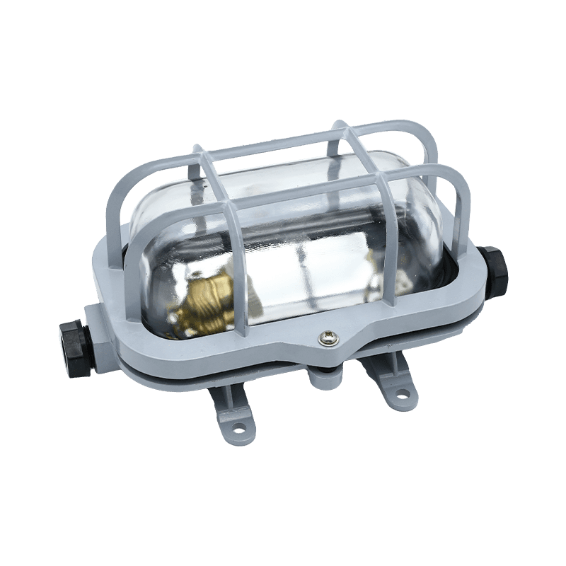 Aluminum Waterproof Marine Incandescent Pendant Light-CCD2-1-2