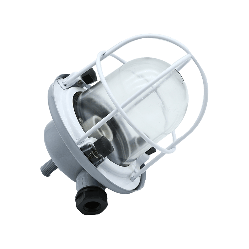 IP55 Steel Marine Incandescent Pendant Light -CCD7
