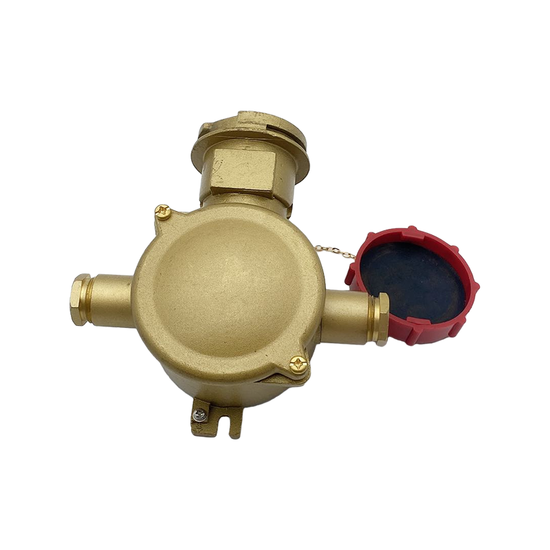 Brass Electrical Socket With Interlock Switch-CZS3-2 1I4