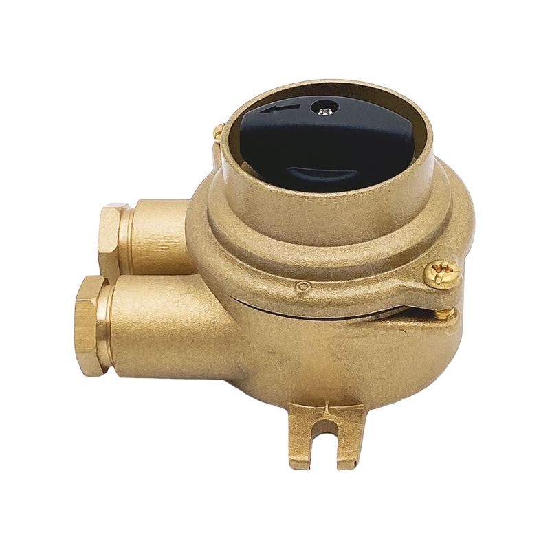 Marine Brass Switch Explosion Proof Switch-HH202-3